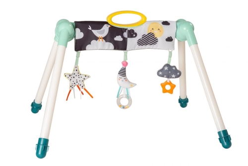 Taf Toys Mini Moon Take-To-Play Baby Gym